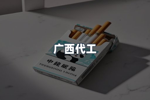 广西代工